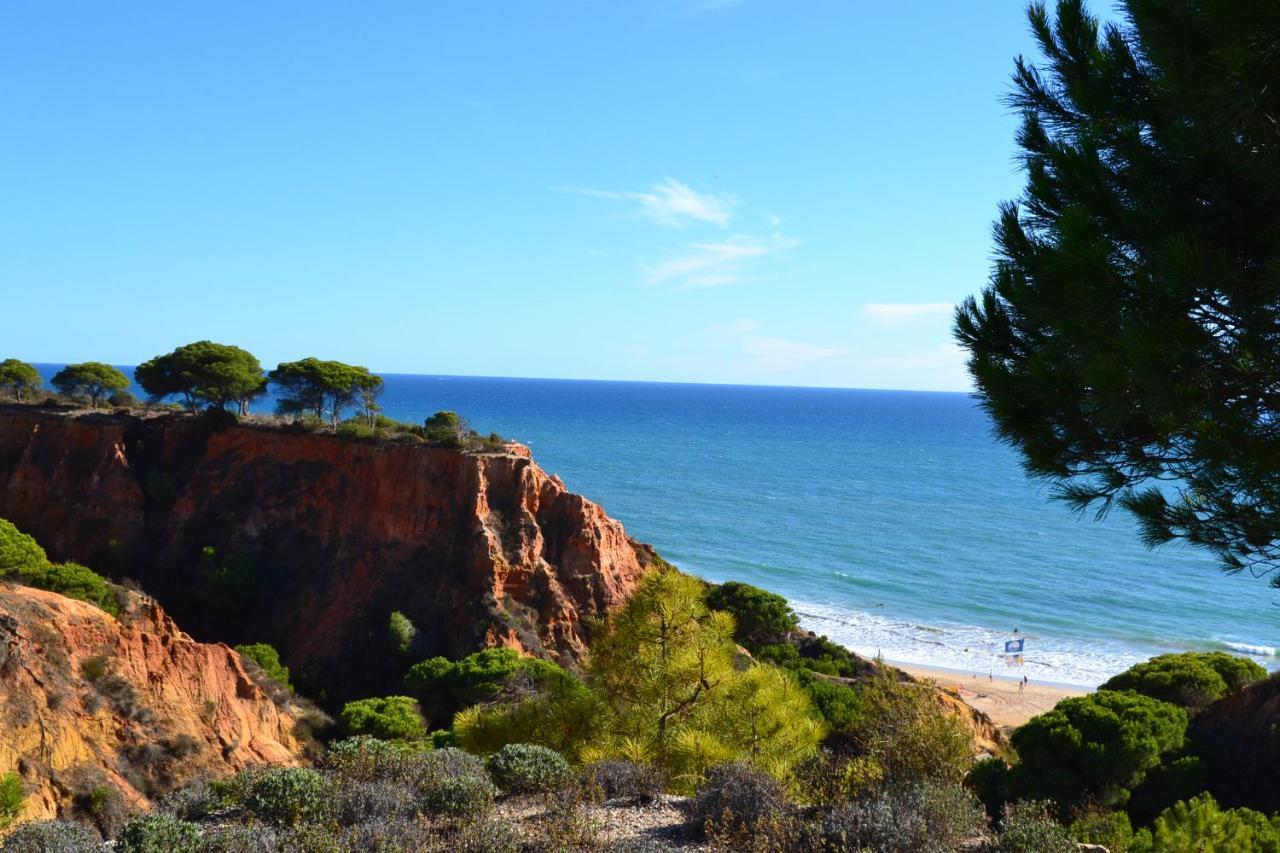 T0 Junto A Praia De Vale Centeanes / Carvoeiro Lagoa  Extérieur photo